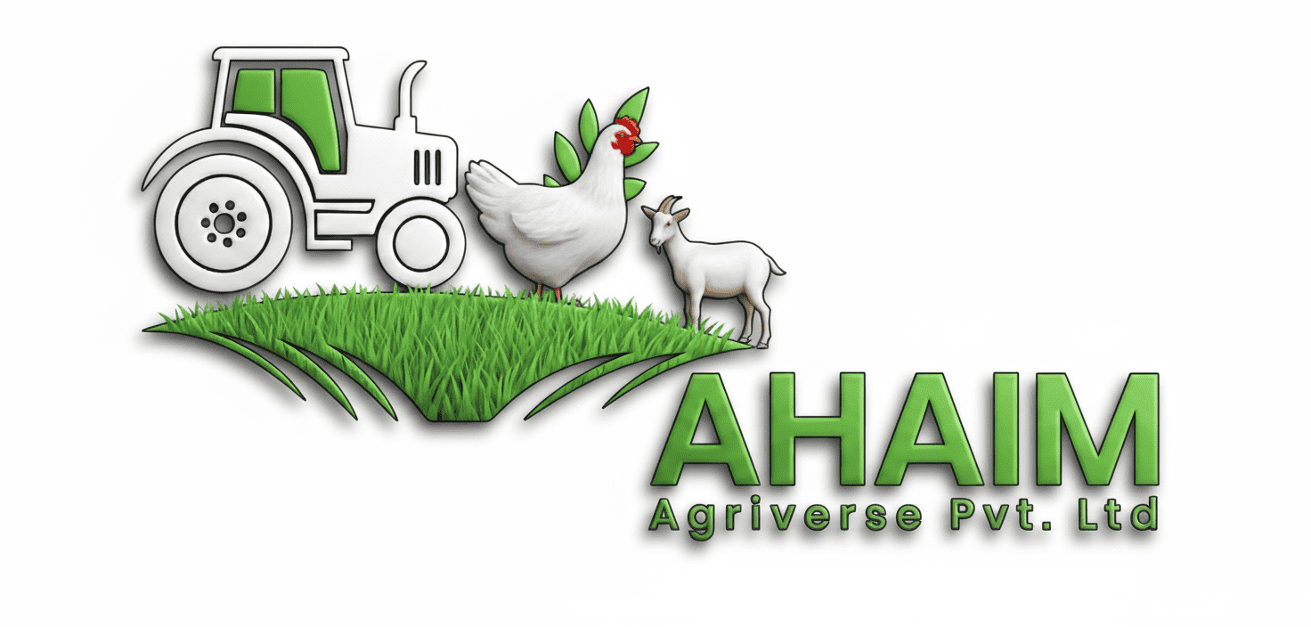 Gemini_Generated_Image_86zkwi86zkwi86zk