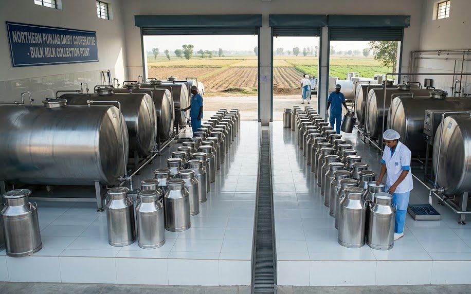 Bulk Fresh Milk